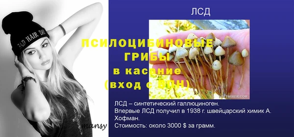 ешки Абинск