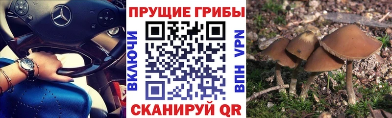 Псилоцибиновые грибы ЛСД MEGA tor Безенчук